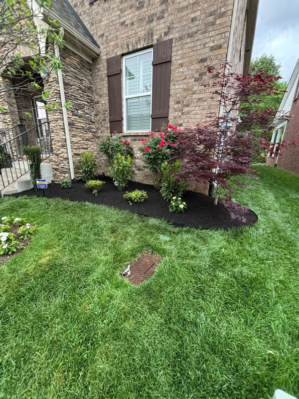 Sod & Landscape Installation