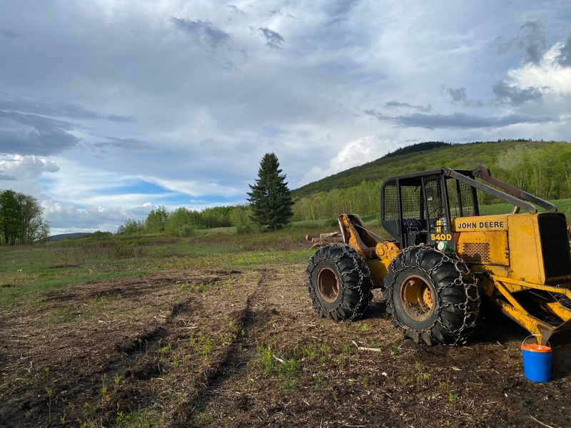 Land Clearing
