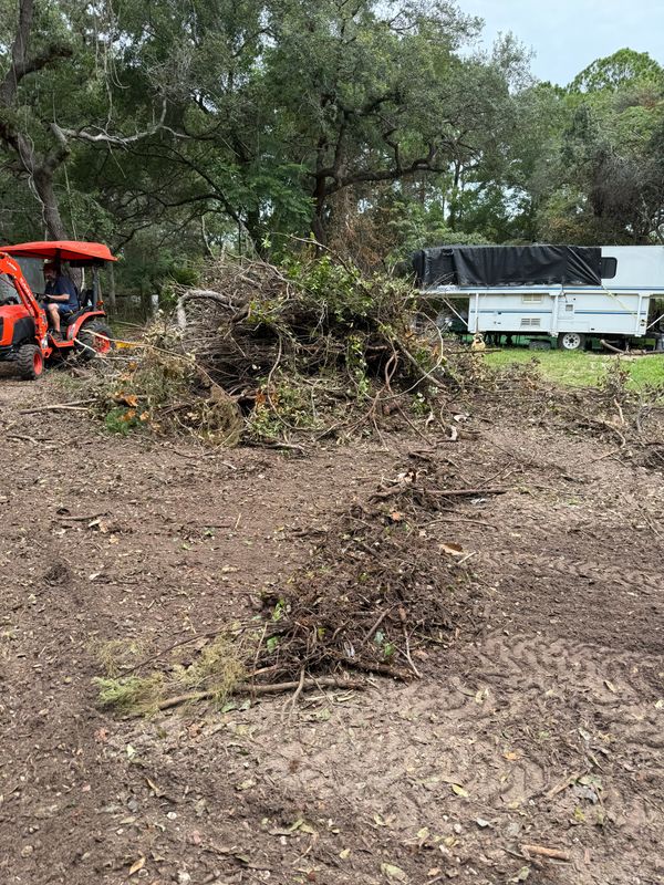 Yard Waste Removal