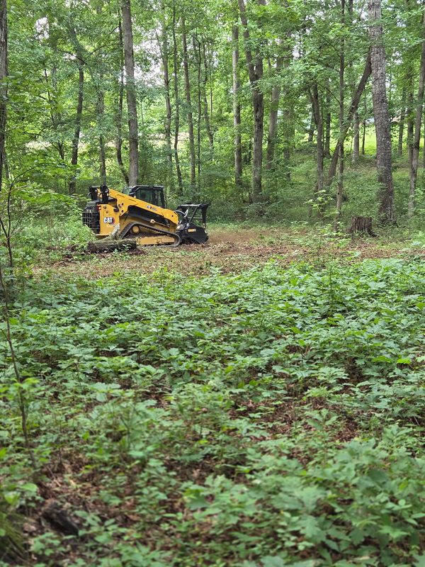 Forestry Mulching