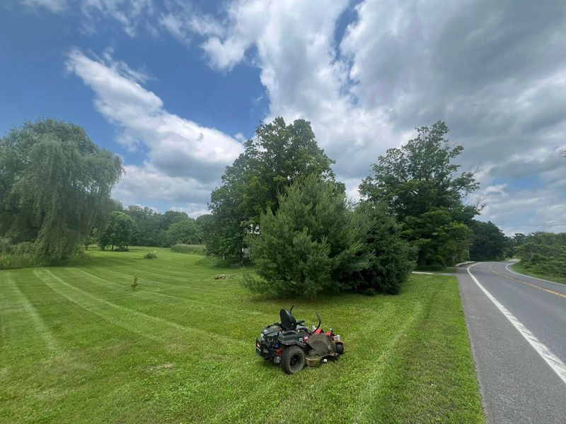 Mowing