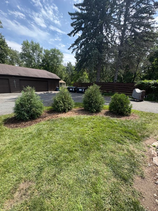 Tree and Shrub Care