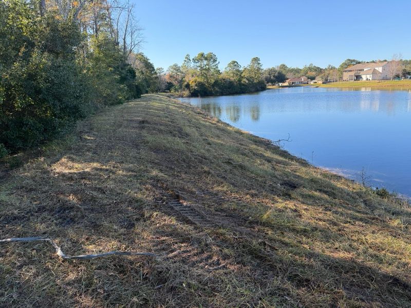 Land Clearing