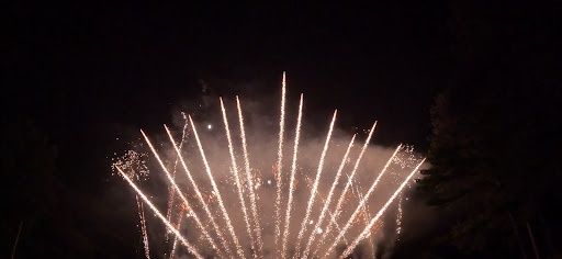 Fireworks, Georgia, South Carolina, Florida, Delaware, West Virginia, and Pennsylvania