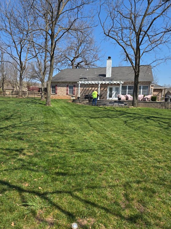 Lawn Maintenance