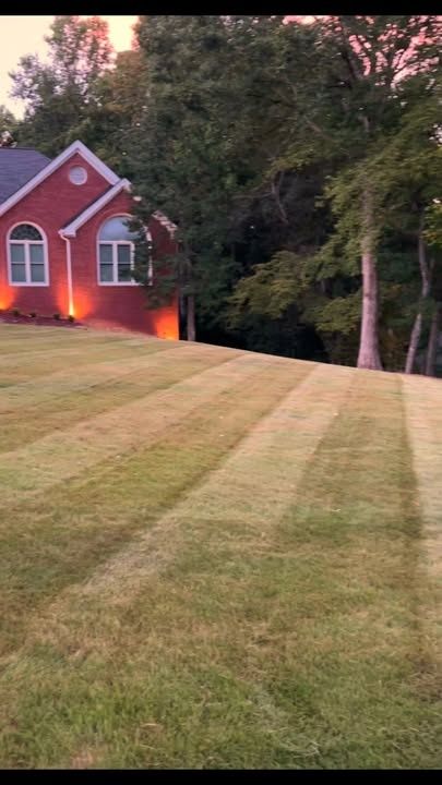 Landscape Lighting