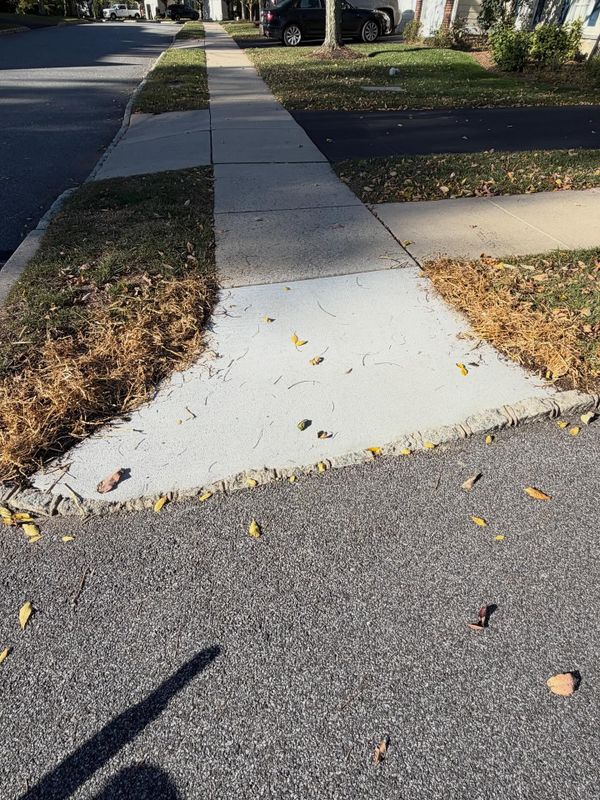Driveway Construction