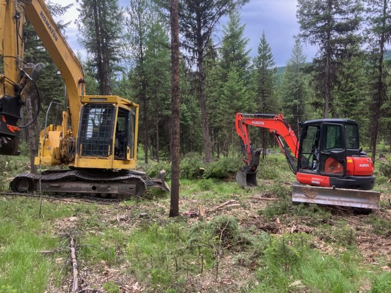 Land Clearing