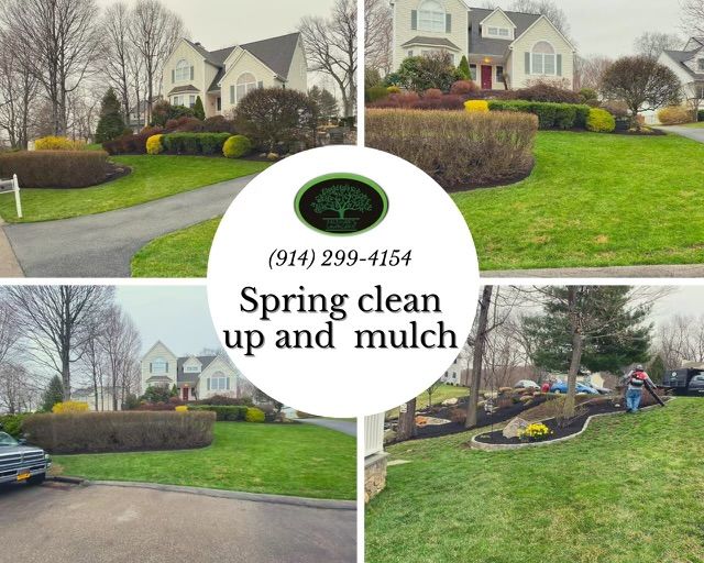 Shrub Trimming