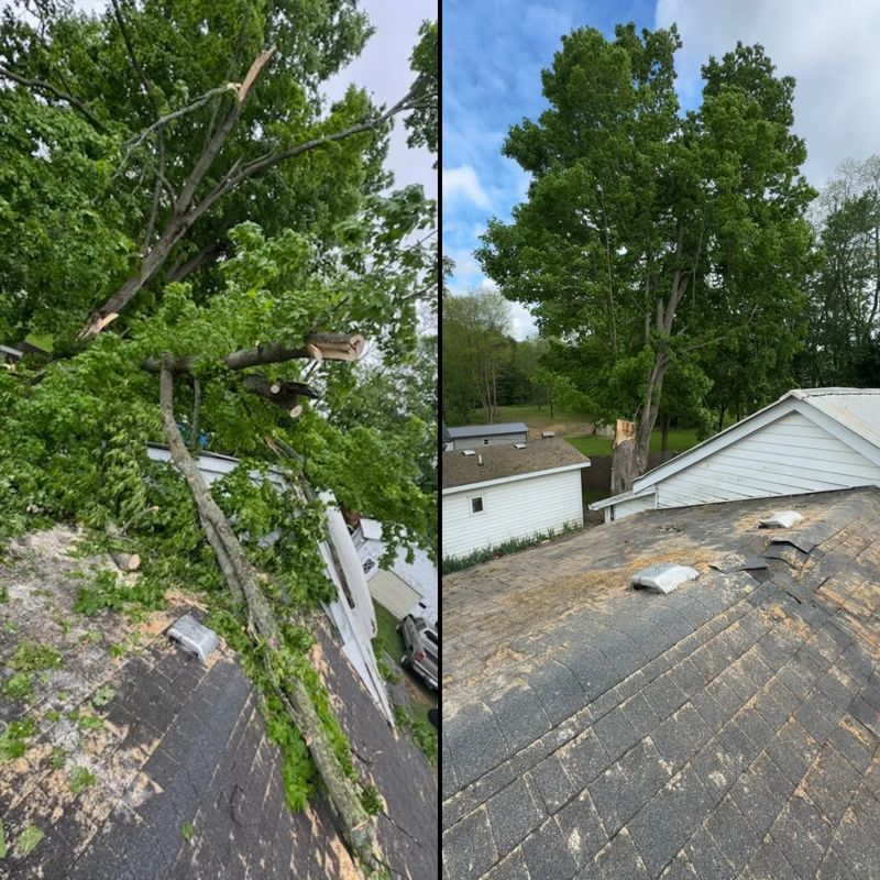 Storm Cleanup: Before and After