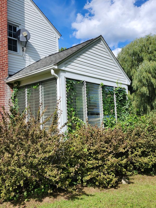 Hedge/Tree/Brush Cutting