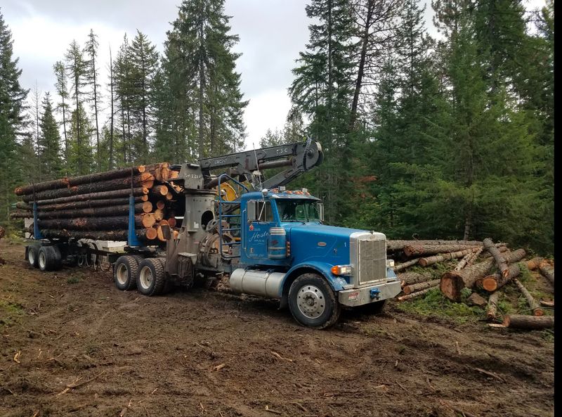 Small Scale Logging