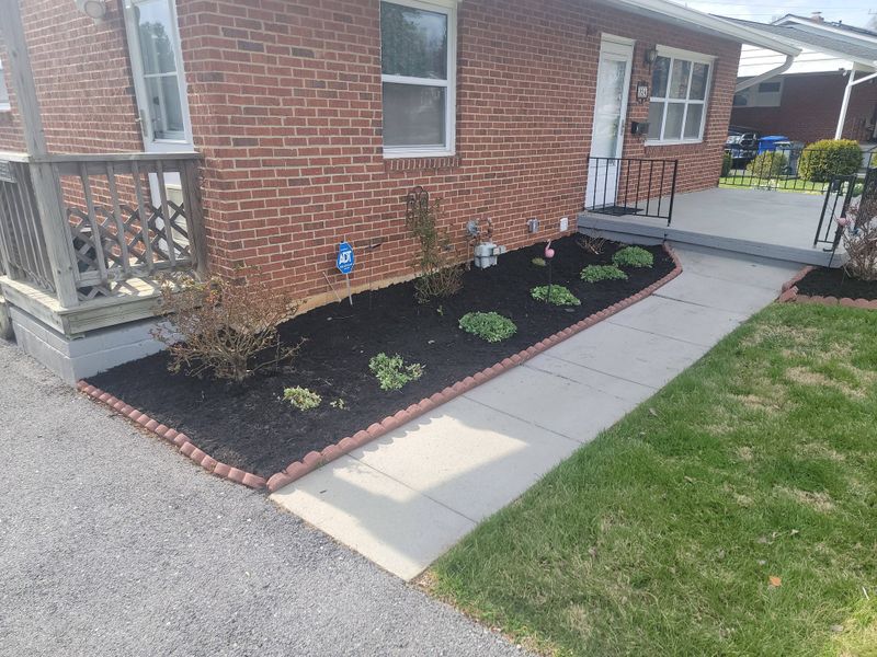 Mulch Installation