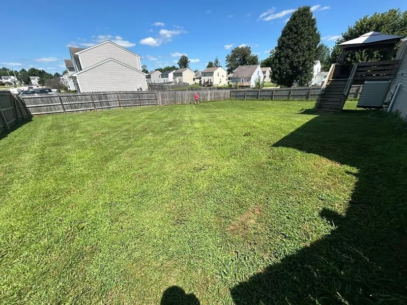 Lawn Mowing