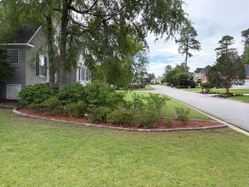 Bush & Shrub Trimming