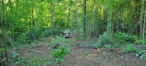 Downed Tree/Brush Removal