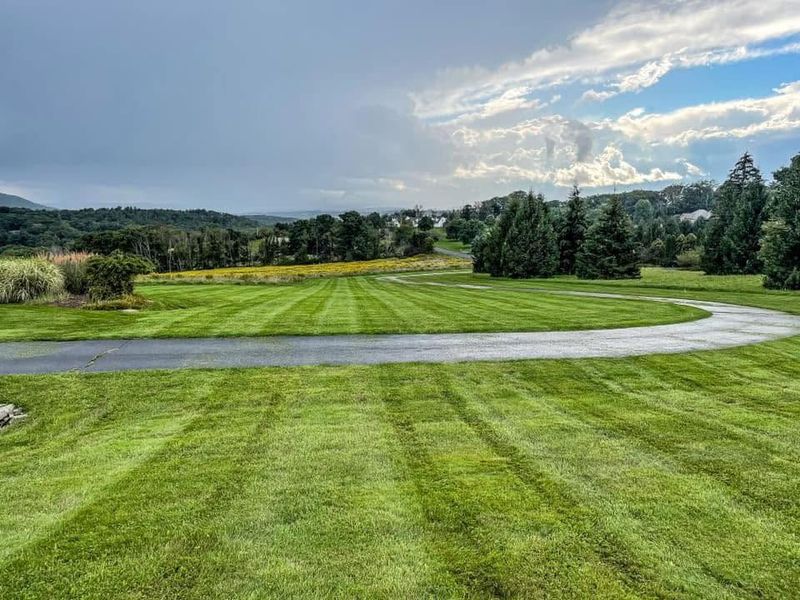 Lawn Maintenance