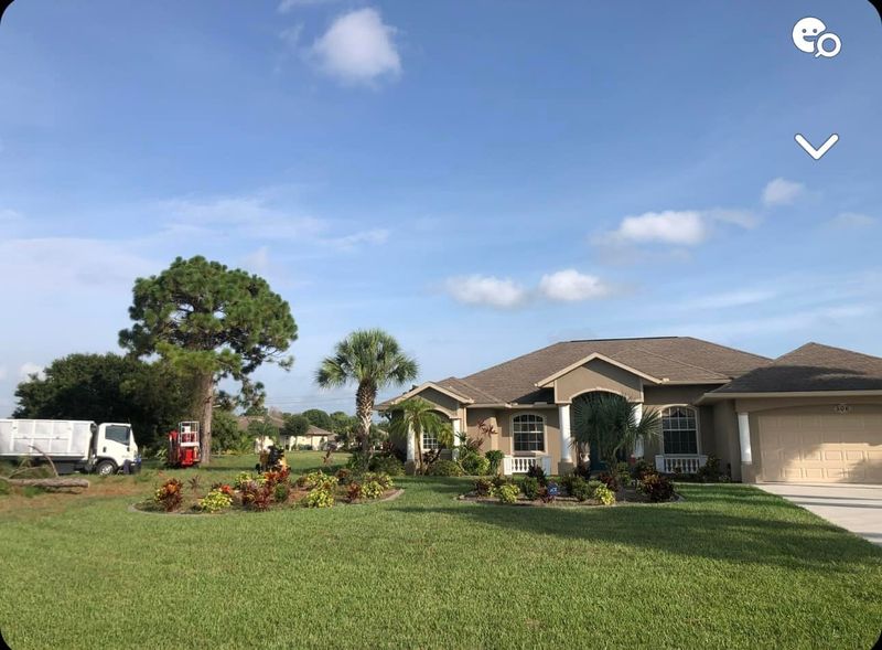 Tree Removal gallery