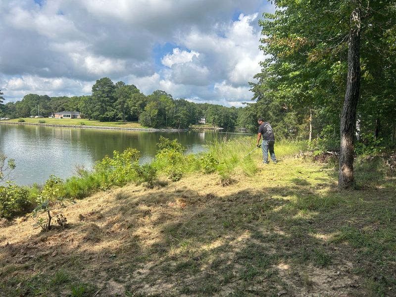 River Bank Clearing  gallery