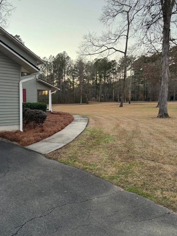 Tree & Shrub Care