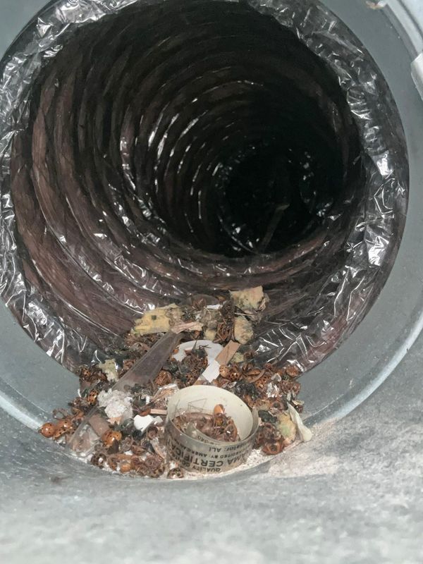 Dryer Vent Repairs