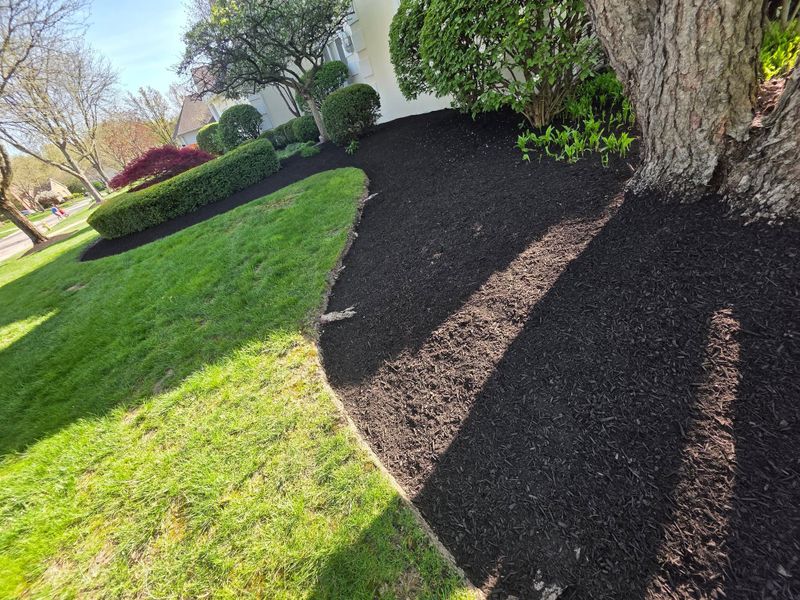 Mulch Installation