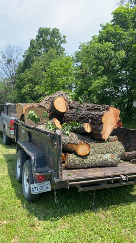 Tree Removal gallery