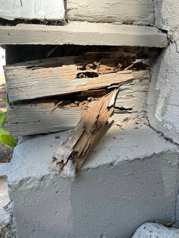 Termite Inspection & Treatment