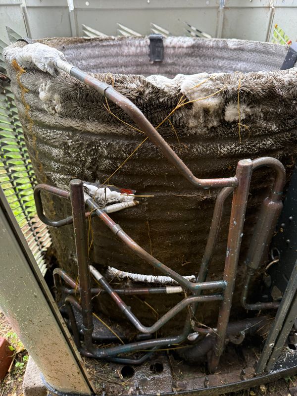 Routine Maintenance and Tune-ups
