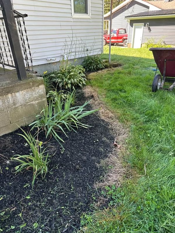 Shrub Trimming