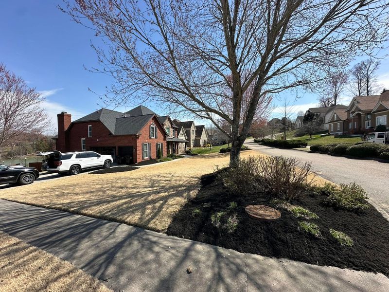 Landscaping