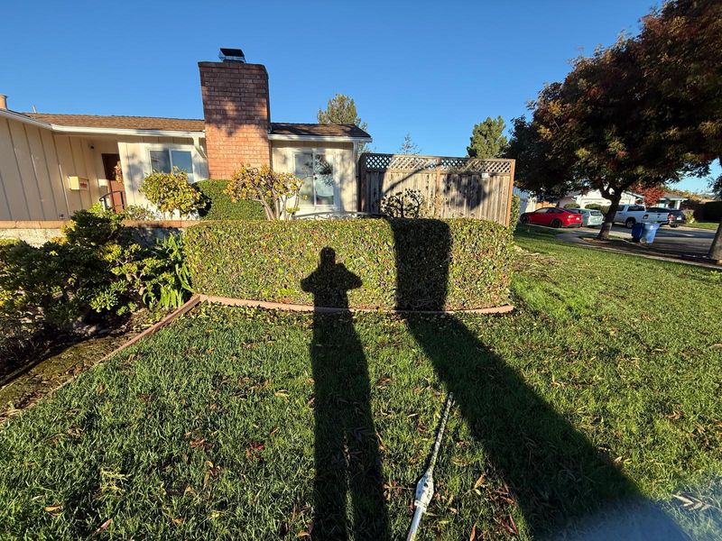 Landscaping