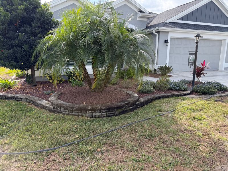 Palm Tree Pruning