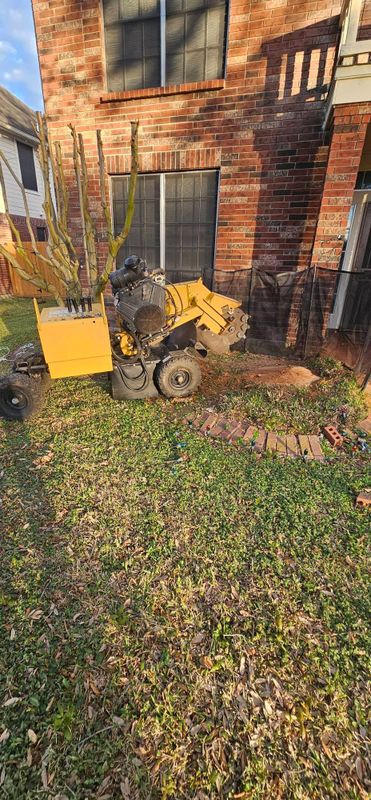 Tree Removal
