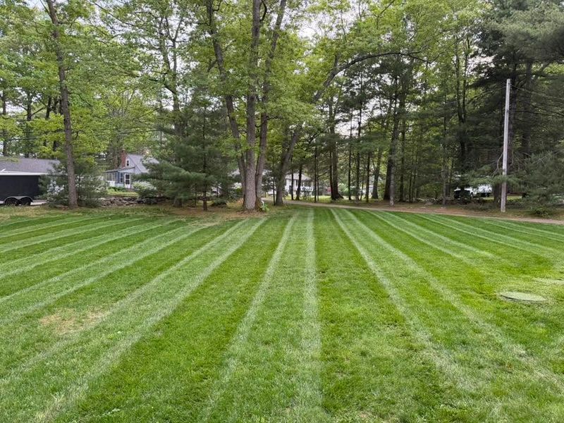 Lawn Maintenance