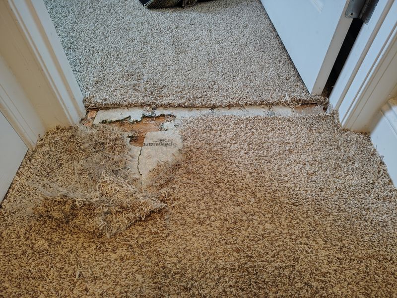 Transform Your Space with Brooks Flooring's Expertise