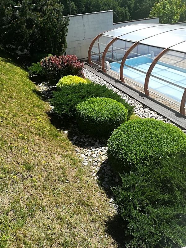 Tree & Shrub Care