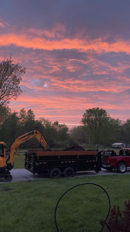 Tree Removal