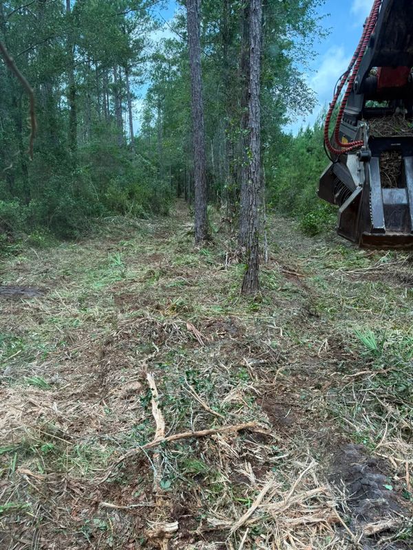 Land Clearing