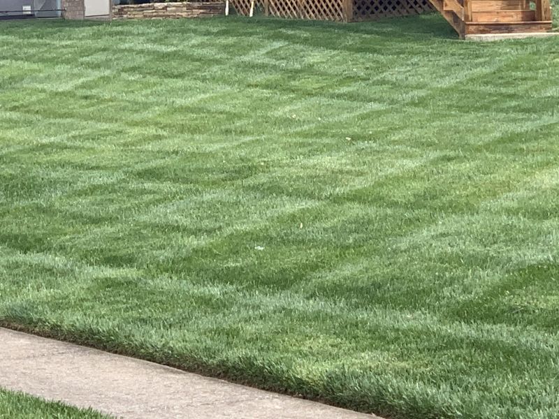 Mowing