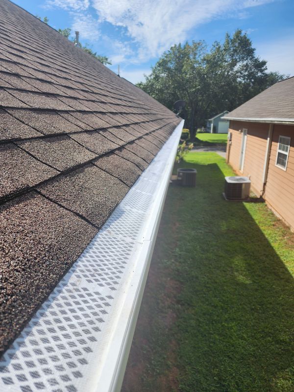 Gutter Cleaning