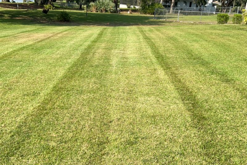 Lawn Care