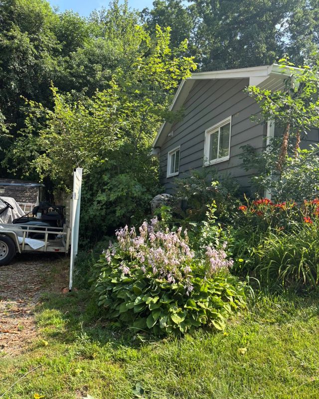Tree Trimming