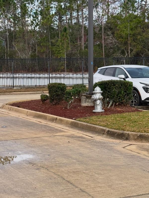 Shrub Trimming