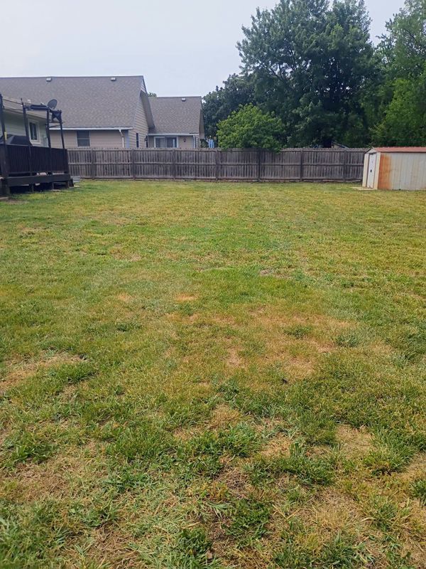 Landscape Design