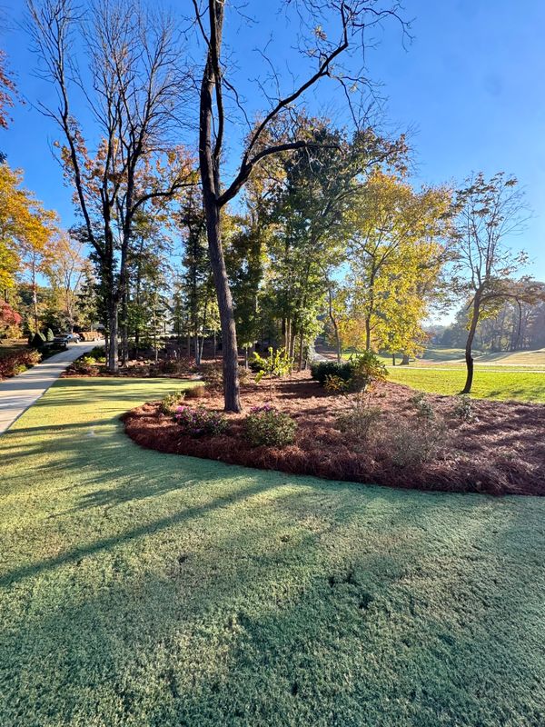 Mulch, River Rock and Pine Needle Installations gallery