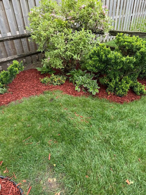Garden Designs