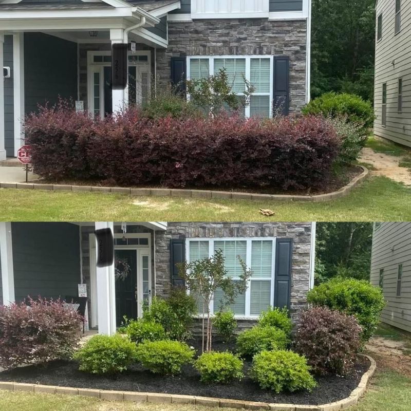 Landscape Installation