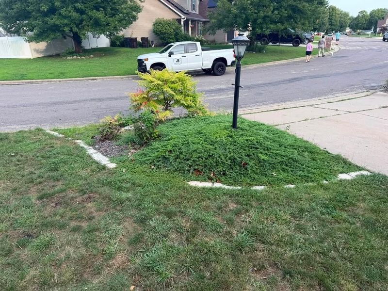 Lawn Maintenance