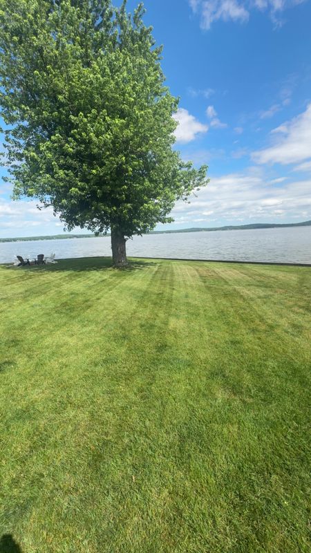 Lawn Maintenance